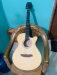 Martin Lee Acoustic guiter model Z-4016CN